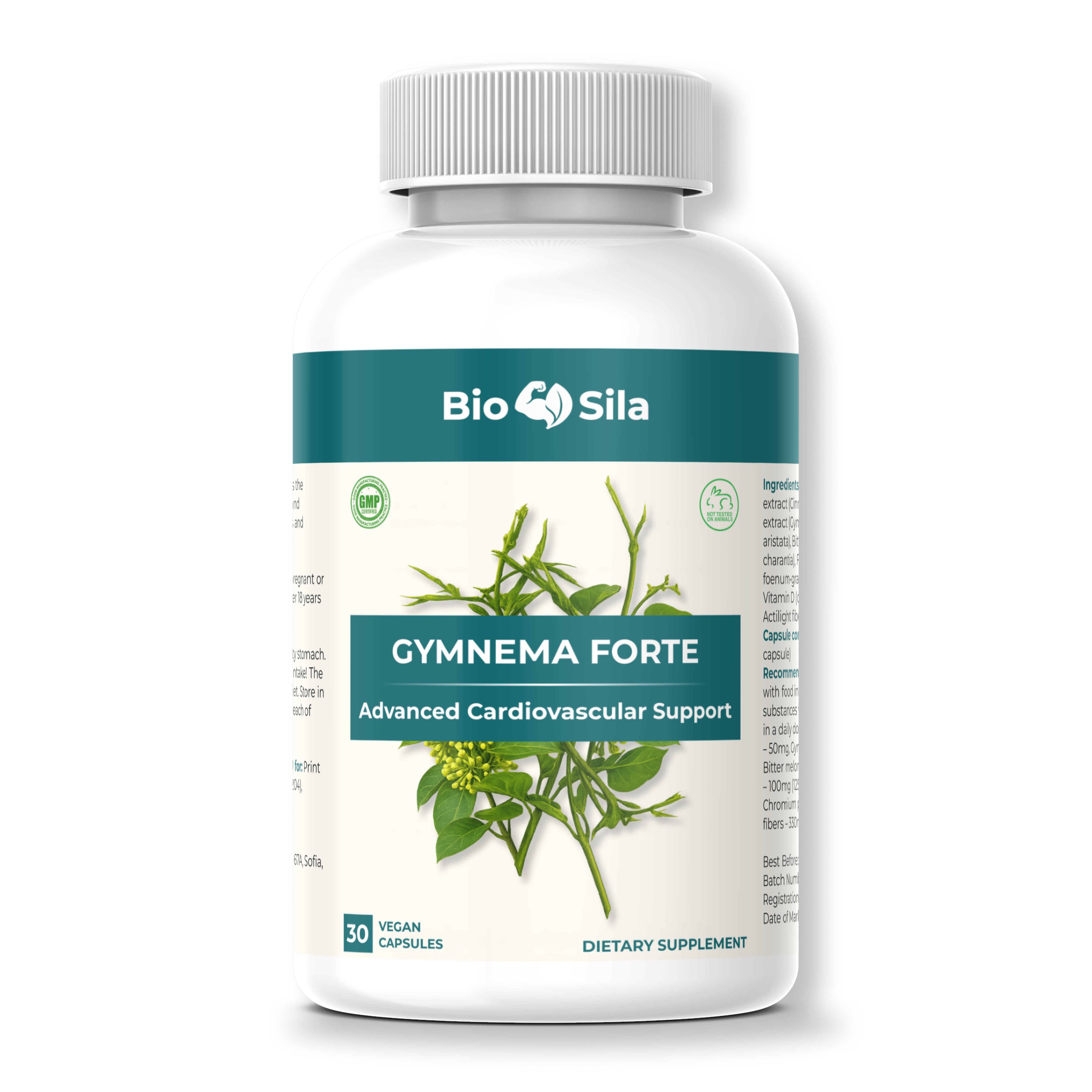 Gymnema Forte©
